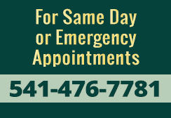 Same day or emergency dental appointments